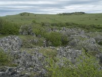 F, Lozere, Fraissinet-de-Fourques, Nimes-le-Vieux 56, Saxifraga-Willem van Kruijsbergen